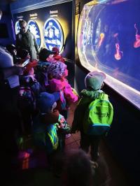 Zápis z exkurze: Vzdělávací edukační program, Zoopark Chomutov 22.5.2025